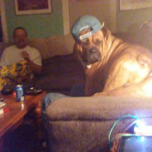 Meet your Posher, Gloria